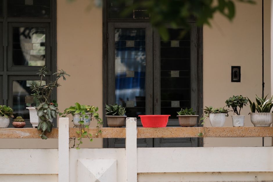 Balkon kot pridelovalni prostor